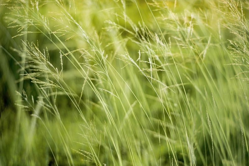 Sustainable Fashion Items